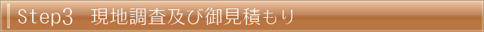 現地調査及び御見積もり