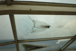 P1120343