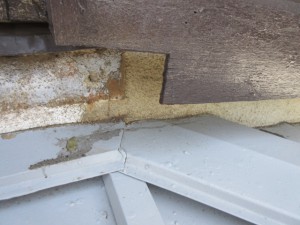 IMG_0002